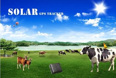ip67 waterproof mini solar gps tracker vehicle for persons and pets reachfar rf-v26